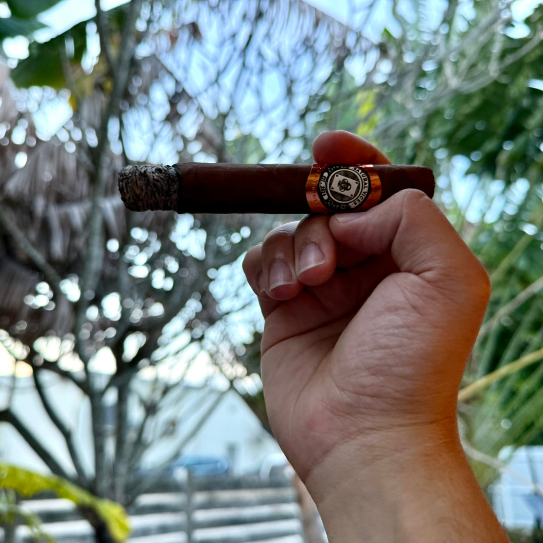 NV Habano Cigars