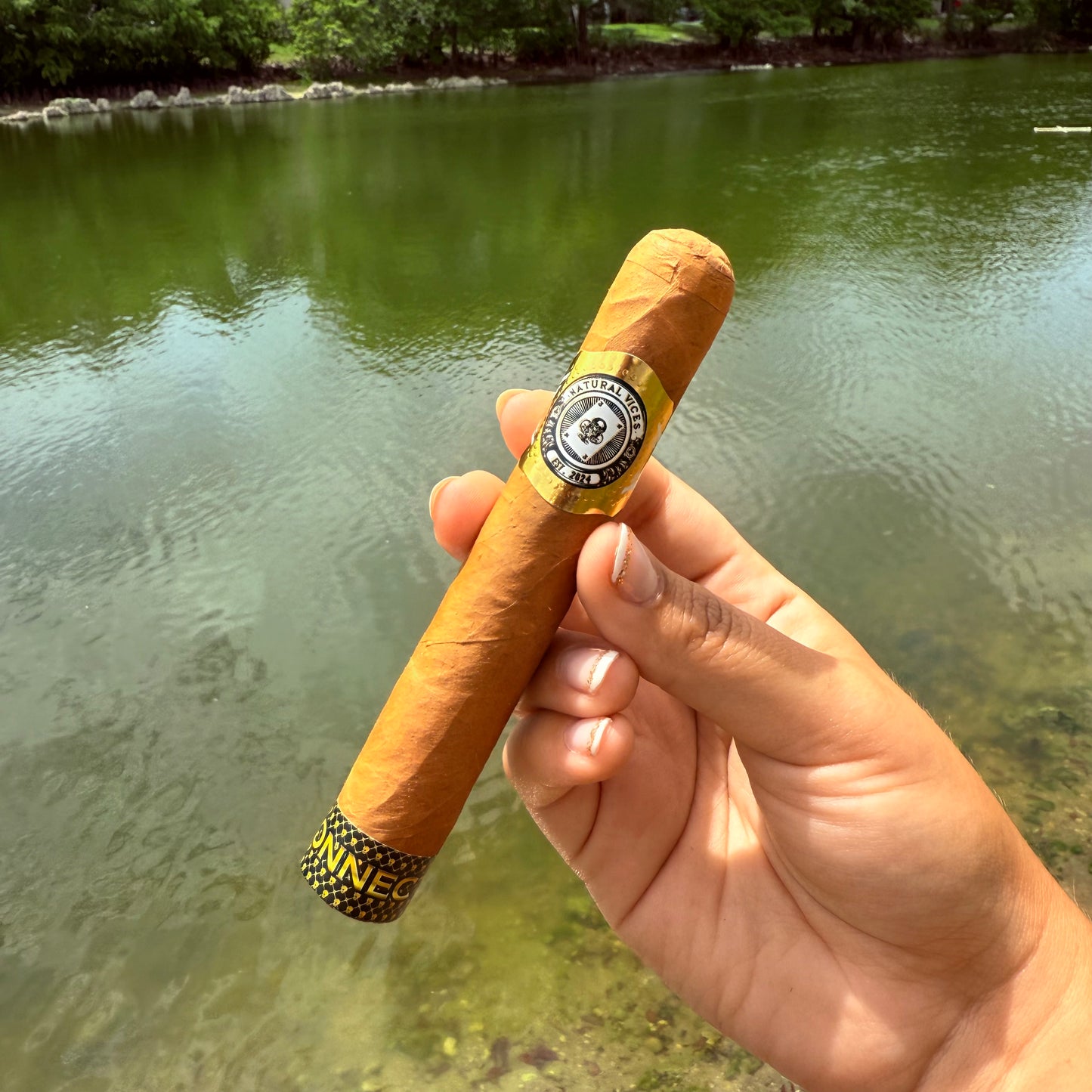 NV Cigar Sampler (3 Pack)
