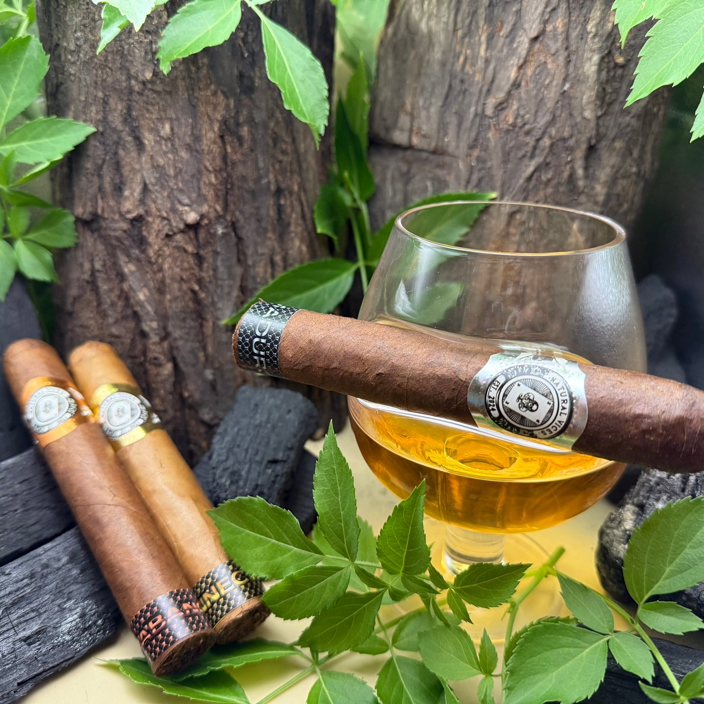 Whiskey Aged NV Cigar Sampler