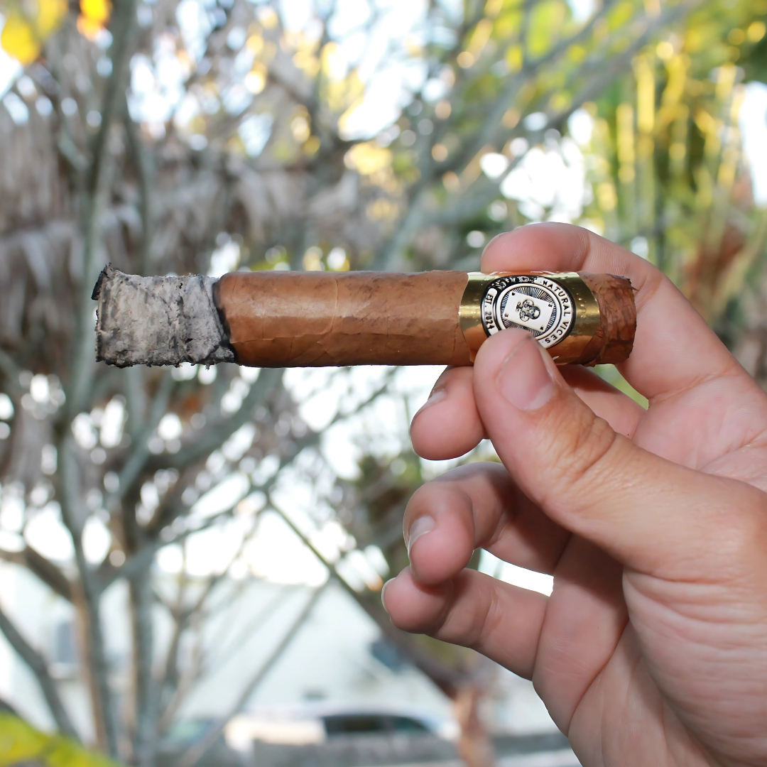 NV Cigar Sampler (6 cigars)